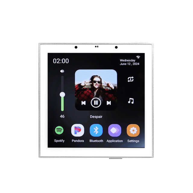 2-CH Tuya Smart Wall Amplifier with Android Control - Multi-Function Audio System with WiFi/Bluetooth/USB for Home Use