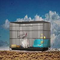 Cage pliable en métal pour animaux de compagnie, cage pour chien, niche pour chat, carrée, respirante, pour usage intérieur, avec bouton-pression, plateau en plastique, transporteur pour animaux