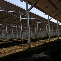 Système de montage solaire KINGSOLAR pour terres agricoles, résistant aux vents forts (60 m/s), pour terres agricoles ouvertes, fabricant certifié CE ISO OEM
