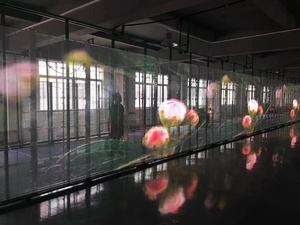 P2 कांच की खिड़की पर्दा इनडोर विज्ञापन वीडियो दीवार शोकेस दुकान विज्ञापन पारदर्शी डिस्प्ले स्क्रीन पैनल का नेतृत्व किया - Product Image 6