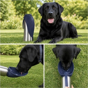 Borraccia Termica Pieghevole per Cani con Design a Foglia, in Acciaio Inossidabile, Anti-perdita, per Viaggi e Accessori per Cuccioli - Product Image 6