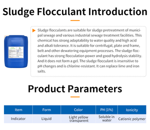 Bùn Lọc Báo Chí khử nước phụ trợ đại lý hóa chất cho bùn bùn điều hòa - Product Image 4