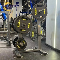 Support de rangement pour plaques de poids de qualité supérieure, pour salle de sport commerciale, prend en charge la personnalisation OEM