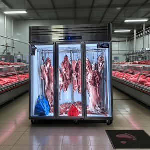 Congélateur vertical pour fruits de mer à température unique, 2 portes, application supermarché avec contrôle numérique de la température, refroidissement par air - Product Image 6