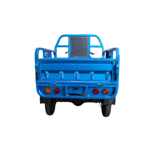 Tricycles 3Plus EEC 1000W pour adultes, étanches, vitesse 30-50 km/h, charge utile 600 kg, véhicule à trois roues, moteur haute puissance 1000W. - Product Image 5
