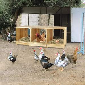 Sağlam ahşap tavuk döşeme kutuları açık tavuk yuva kutusu tavuklar için Backyard Coops ahşap yuvalama kutuları dışarı rulo - Product Image 6