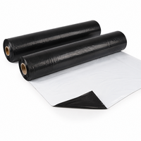 Film de paillage LDPE noir et blanc de haute qualité, stabilisé aux UV, film plastique pour couverture du sol agricole, pour la plantation en serre