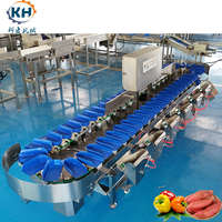 Hoge snelheid doosvormige gewichtssorteermachine met snelle respons weegsensor voor continue voedselsorteerproductie