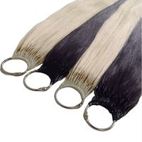 Nouvelles Tendances : Extensions de Cheveux Pré-crochetsées à Pointe, 100% Cheveux Humains Vierges Remy, Faciles à Utiliser