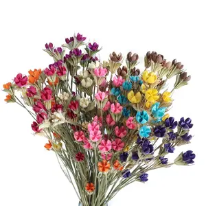 INS toptan doğal ucuz kurutulmuş buket çiçekler kuru Pistachio düzenleme ve vazo parti dekorasyon