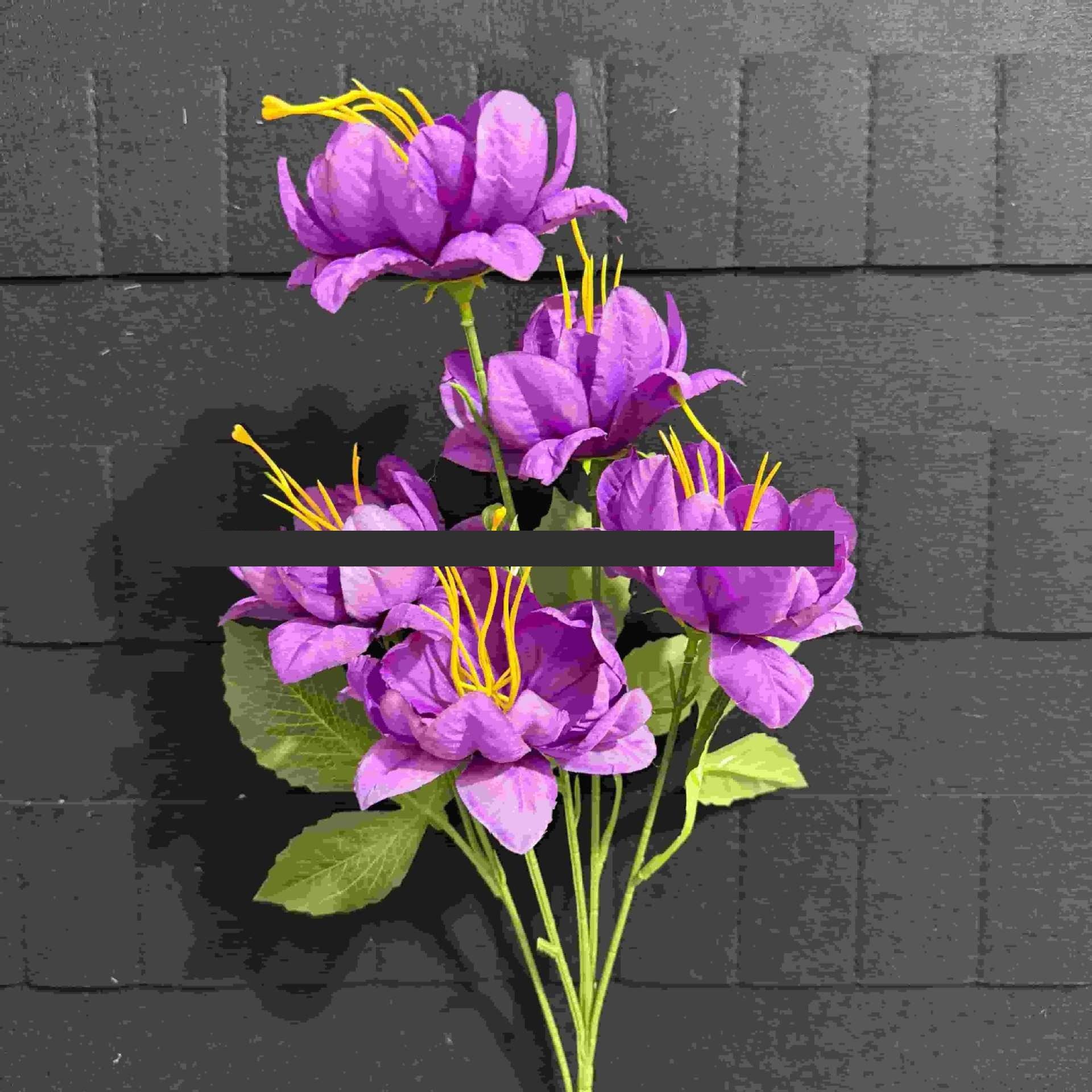 สีม่วงเข้ม