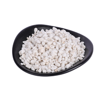 Granulés de perlite expansée poreuse, blanc pur, légers, 1-3 mm, qualité horticulture, amendement du sol hydroponique, aération, drainage