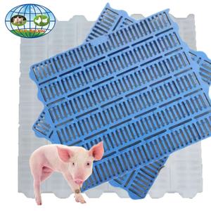 <span class=keywords><strong>Équipement</strong></span> d'<span class=keywords><strong>élevage</strong></span> au détail de haute qualité-plancher d'<span class=keywords><strong>élevage</strong></span> à plat en plastique pour volailles et porcs domestiques - Product Image 6
