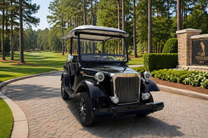 Carro de Boda Eléctrico Estilo Vintage para 4-5 Pasajeros, Limo Retro con Luces LED, Color Personalizado para Hotel o Resort - Product Image 4