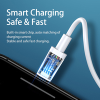 Remax Bergabunglah dengan kami RC-175C, produk baru 3.0 100W Flash pengisi daya tipe-c ke kabel Data cepat Usb kabel pengisian daya Cepat