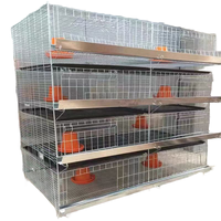 Galvanized4 niveaux petit bébé poulet canard cage durable fil cage 100-300 oiseaux capacité poussin couveuse Cage à vendre au Zimbabwe