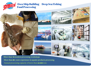 Nhà Máy Bán buôn ngon thức ăn đường phố pre-nấu chín đông lạnh thức ăn nhanh chiên thực phẩm chế biến tẩm bột cá Minh Thái philê - Product Image 6