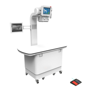 Machine de <span class=keywords><strong>radiographie</strong></span> numérique vétérinaire à rayons X Machine à rayons X numérique au sol pour animaux - Product Image 3