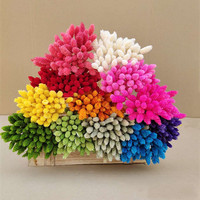 Fleurs séchées naturelles éternelles, petites fleurs de Phalaris Gem Grass, coton, magnifiques et colorées, 50-60 cm, pour la remise des diplômes et la fête des Mères