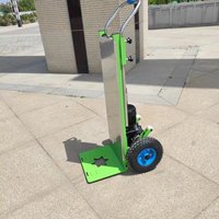 Carretilla Eléctrica para Subir Escaleras de Alta Resistencia de 400 kg, Batería de Litio de 48 V, 2 Ruedas, Plegable, Doble Velocidad, DS190S OEM Cargo