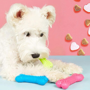 Juguetes Indestructibles para Perros, Hueso Molar de Goma, Juguete para Masticar, Cepillo de Dientes para Perros, Cuidado Dental para Cachorros, Juguete para Masticar para Mascotas - Product Image 5