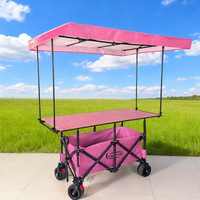 Chariot pliable avec table relevable haute et plateau de toit