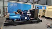 Générateur CHP GPL 150 kW, compatible avec refroidisseur par absorption, CCHP tri-génération, biogaz, gaz naturel, gaz biomasse, démarrage à distance, démarrage automatique