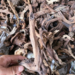 Branches de <span class=keywords><strong>Sunwood</strong></span> Décoration de paysage de réservoir de poissons Branches brisées de <span class=keywords><strong>Sunwood</strong></span> naturelles - Product Image 3