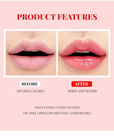 Vente en gros de cosmétiques pour femmes, étiquettes privées, logo personnalisé, couleurs vegan, haute pigmentation, rouge à lèvres liquide mat imperméable