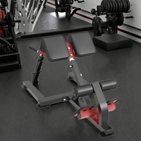 Chaise romaine en acier commercial équipement de gymnastique banc d'extension arrière musculation chaise romaine