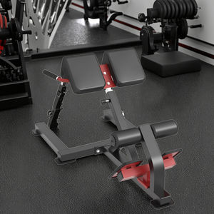 <span class=keywords><strong>Chaise</strong></span> <span class=keywords><strong>romaine</strong></span> en acier commercial équipement <span class=keywords><strong>de</strong></span> gymnastique banc d'extension arrière <span class=keywords><strong>musculation</strong></span> <span class=keywords><strong>chaise</strong></span> <span class=keywords><strong>romaine</strong></span> - Product Image 2