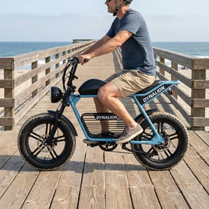 All Terrain Cruise elektrische fiets met dikke banden en voorvorkvering, robuuste dikkebanden e-bike voor ritjes op de pier en langs de loopplanken - Product Image 3