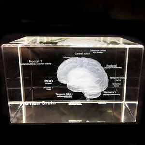 Modèle anatomique médical du cerveau humain en cristal K9 brillant, artisanat, <span class=keywords><strong>cube</strong></span> <span class=keywords><strong>photo</strong></span> en verre <span class=keywords><strong>3D</strong></span>, laser, <span class=keywords><strong>cube</strong></span> en cristal vierge, presse-papier - Product Image 3
