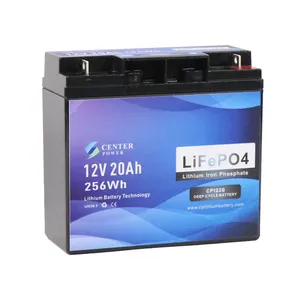 Lood-zuur Vervanging Lithium Ion Batterij 12V 18ah 20ah Solar Batterij Met Bms