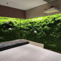 Panneaux muraux en mousse préservée sur mesure, art mural en mousse naturelle écologique pour la maison, le bureau commercial, l'hôtel, décoration murale en mousse