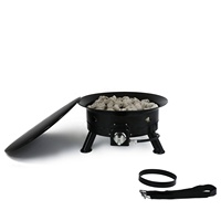 Fabricant professionnel en stock, foyer extérieur au propane de 24 pouces, 58 000 BTU, en acier inoxydable, couleur personnalisée, pour le camping