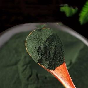 Pasokan Pabrik Bubuk <span class=keywords><strong>Spirulina</strong></span> Chlorella Bubuk Ekstrak Chlorella Grosir Bubuk Chlorella Organik - Product Image 5