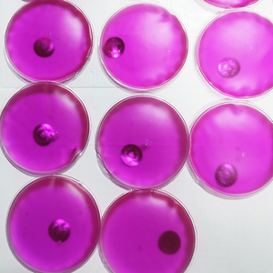 <span class=keywords><strong>Inter</strong></span> Gift Bolsillo reutilizable Almohadilla de gel caliente instantánea Paquete de calentamiento mágico reutilizable personalizado Calentador de manos de gel - Product Image 6
