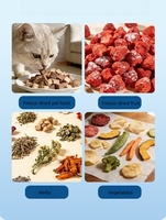 Mini-vriesdroger voor thuisgebruik, 2-5 kg batchcapaciteit, kleine lyofilisator voor fruit, dierenvoer en kruiden