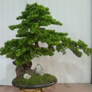 Albero di Pino Artificiale in Vaso, Pianta Decorativa Realistica Sempreverde per Interni ed Esterni, Soggiorno, Camera da Letto, Balcone, <span class=keywords><strong>Appartamento</strong></span> - Product Image 3
