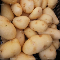 Éplucheur entièrement électrique pour utilisation industrielle, légumes, fruits, gingembre, cassange, éplucheur, Machine de nettoyage, pommes de terre