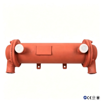 Intercambiador de Calor/Condensador de Acero al Carbono Personalizado con Núcleo de Bomba, Certificado ASME CE, Precio Competitivo