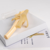 Science médicale PVC modèle anatomique animal PVC chien articulation du genou modèle canin