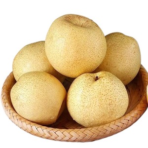 ลูกแพร์พรีเมี่ยม2024จาก Dangshan Anhui-ผลไม้ขนาดใหญ่จากต้นไม้เก่าแก่ร้อยปีรสหวานถนอมน้ำบรรจุภัณฑ์จำนวนมาก - Product Image 5
