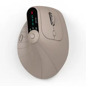 Ergonomic 2.4GHz BT RGB Mouse OEM Customized Dual Mode Laptop Desktop Office Silent Wireless Vertical Gaming Mouse