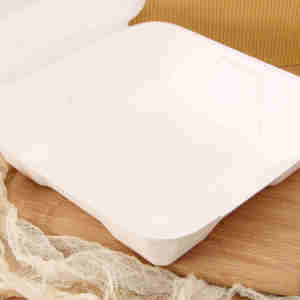 Bán buôn etopack bao bì phân hủy sinh học Bento hộp thực phẩm mía bã mía bánh hamburger bột giấy hộp dùng một lần Bộ đồ ăn - Product Image 1