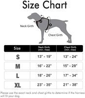 Harnais d'entraînement OKKPETS en promotion, réfléchissant, robuste et réglable, accessoires pour chien, laisse personnalisée, ensemble de harnais anti-traction pour chien