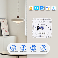 Variateur d'éclairage rotatif mural Matter Over Thread compatible avec Alexa Google Home, télécommande sans fil, gradation de précision