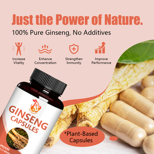 Cápsulas de Ginseng en Venta con Fibra Dietética, Polvo de Raíz de Ginseng, Mejora de la Memoria, Suplementos Herbales Naturales - Product Image 6