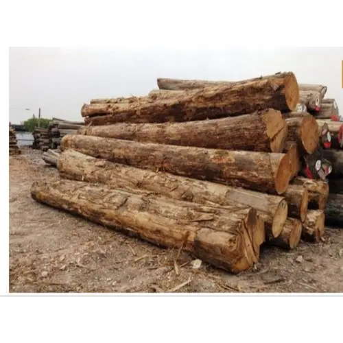 Acácia pine madeira registro personalizado fabricante para o mercado da américa